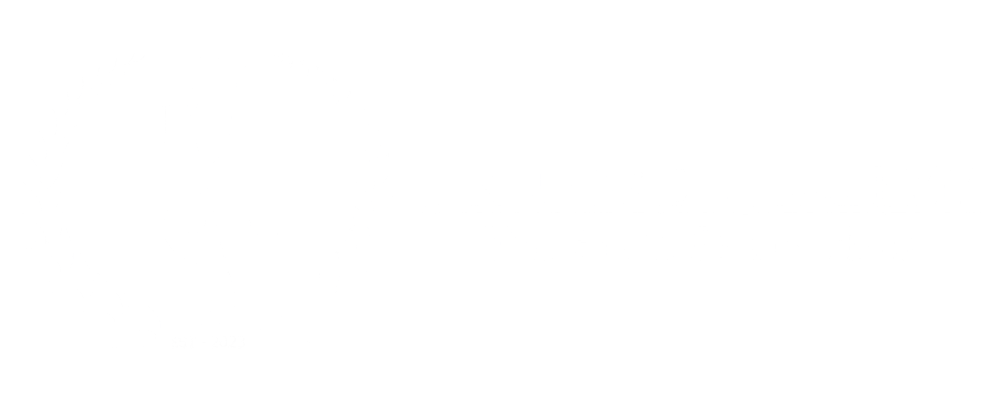 Iva Music Academy